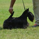 11707650_10155948446355438_3238064934427091985_n