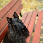 12309577_10156429305880438_285787749261873901_o