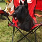 20245534_10159211355950438_2084672336210031029_n